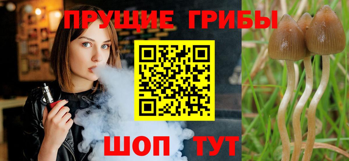 Псилоцибиновые грибы прущие грибы  Вход с VPN  Новочеркасск  Псилоцибиновые грибы мицелий 
